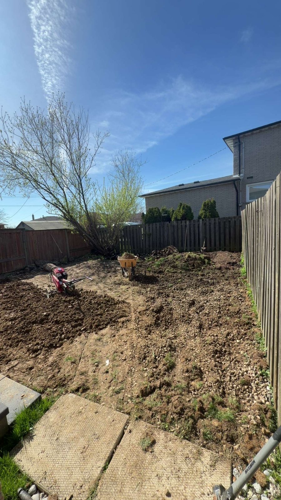Rough uneven backyard soil before sod installation