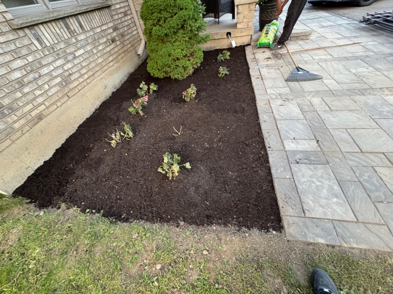 Garden bed after fresh black mulch installation by OSS Lawn Care