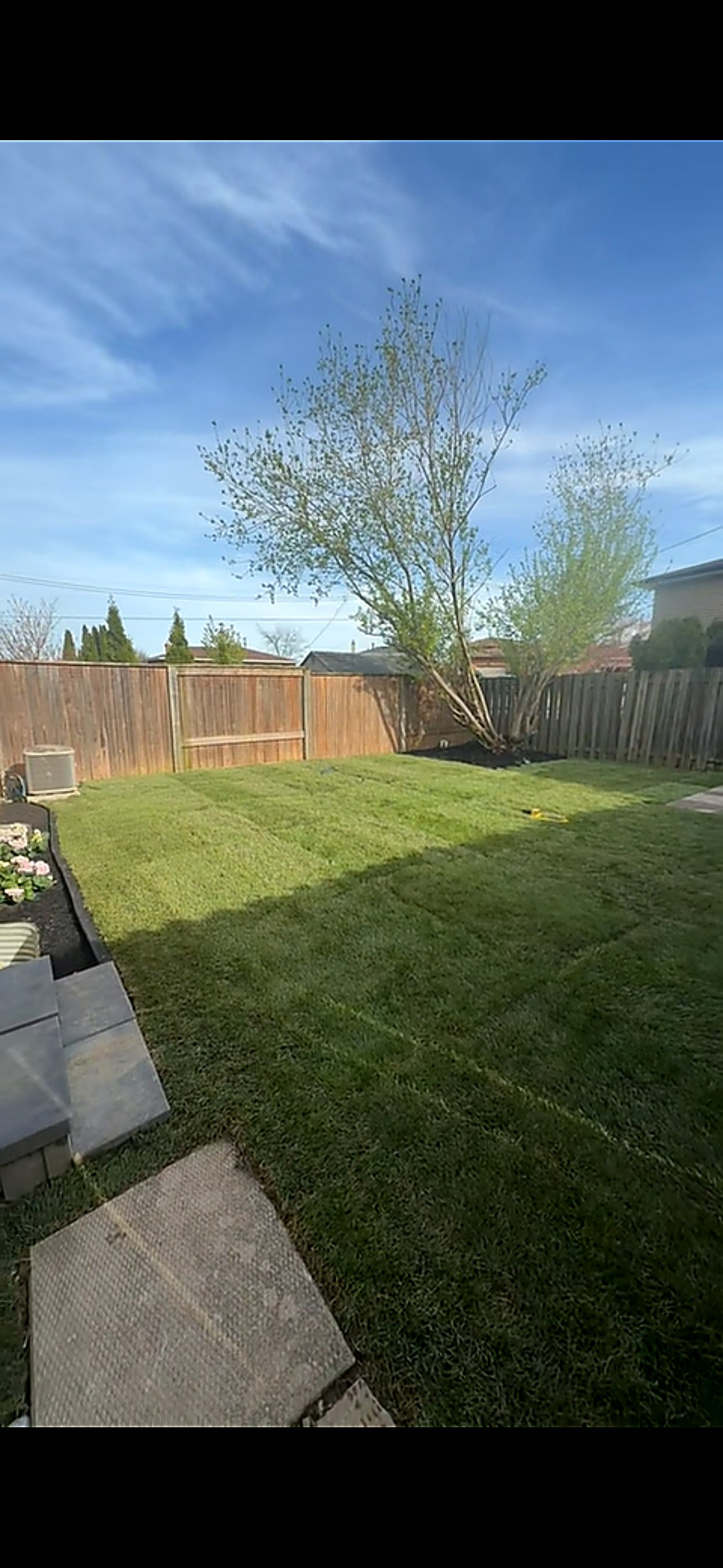 Healthy fresh green backyard lawn after sod installation by OSS Lawn Care