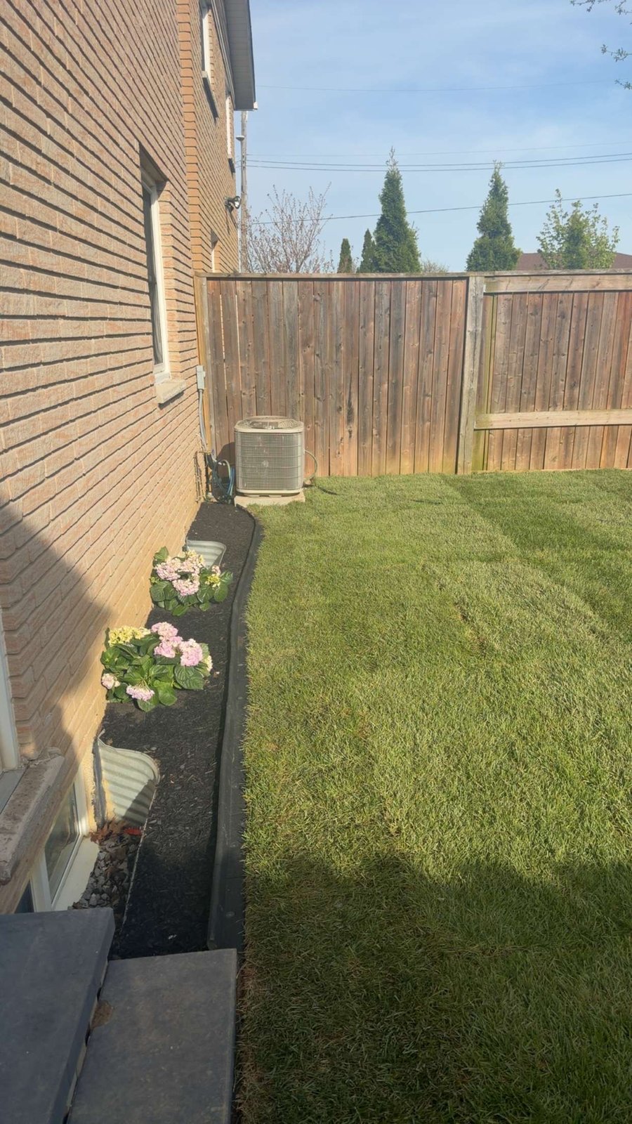 Side-yard lawn install with clean edging by OSS Lawn Care