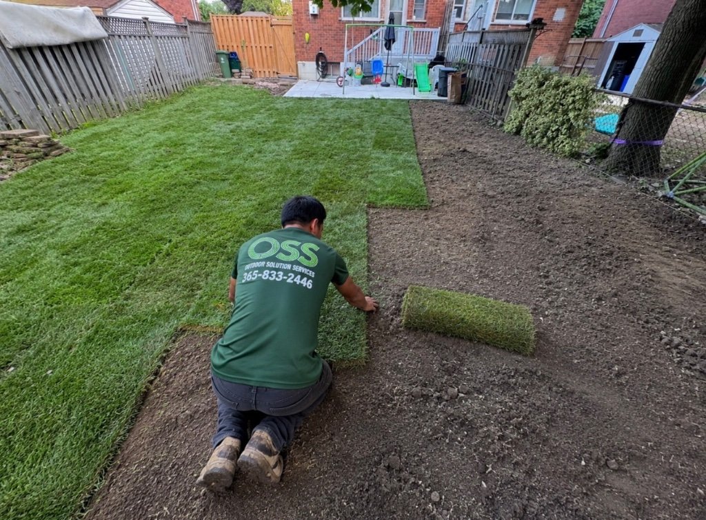 Freshly installed premium sod lawn on a GTA property by OSS Lawn Care